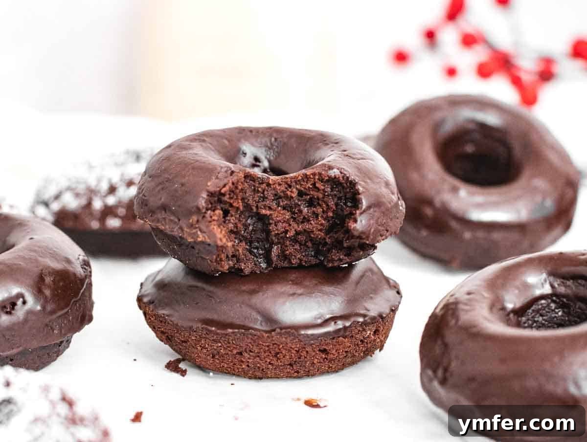 Egg-Free Delights 23 Baked chocolate donuts with glaze, one with a bite taken