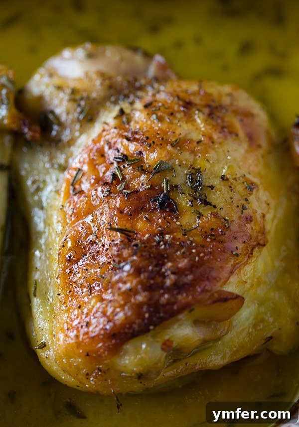 Sun-Kissed Herb Chicken Thighs 4 These crispy citrus herb roasted chicken thighs are baked up with lots of fresh herbs and 3 kinds of delicious citrus. Super simple to make and ready in just about an hour!