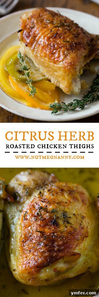 Sun-Kissed Herb Chicken Thighs 6 These crispy citrus herb roasted chicken thighs are baked up with lots of fresh herbs and 3 kinds of delicious citrus. Super simple to make and bakes in just 60 minutes!