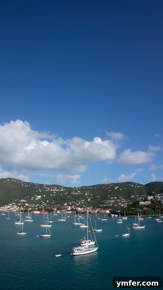 Regal Princess: Caribbean Royal Odyssey 5 Regal Princess Cruise - St. Thomas
