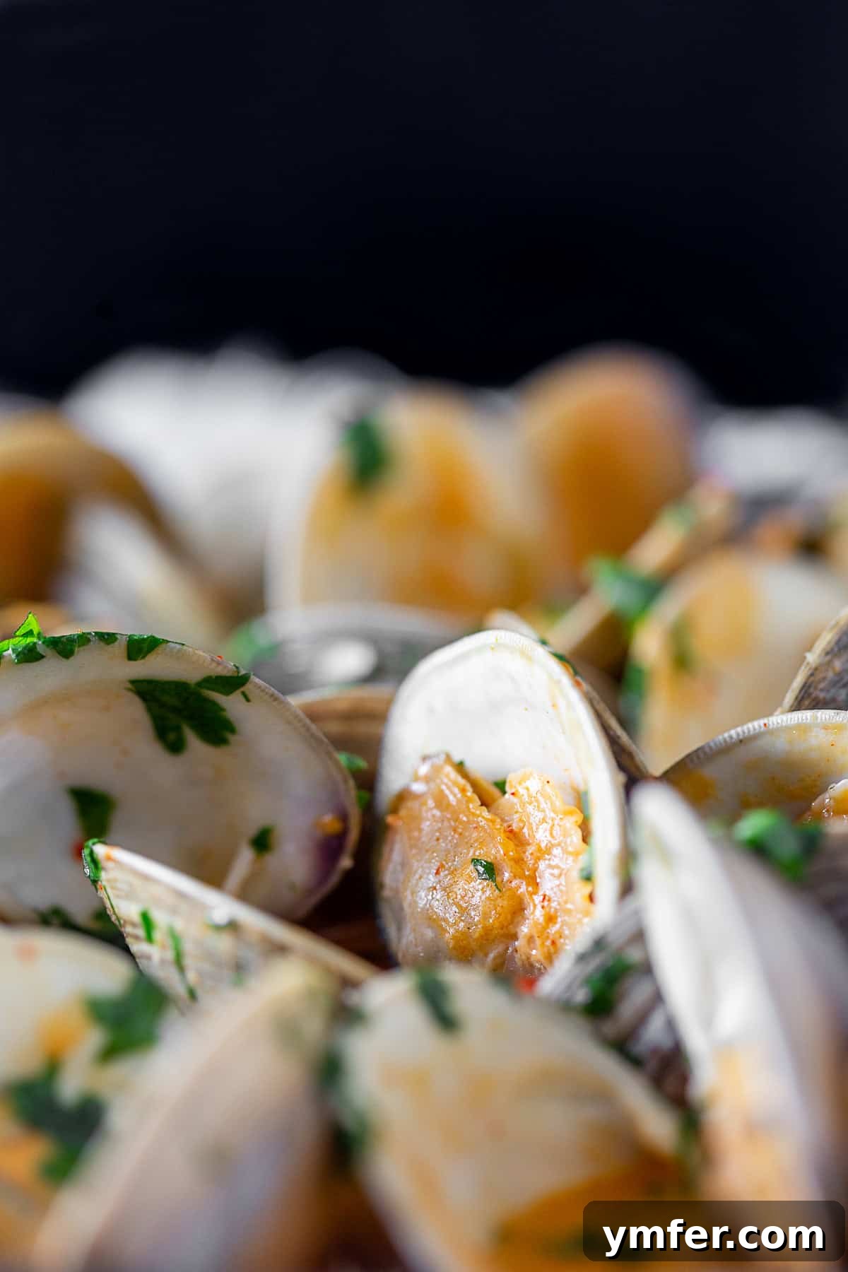 Coco-Chili Clams 4 Spicy Coconut Milk Clams in their shells, glistening in the rich broth.