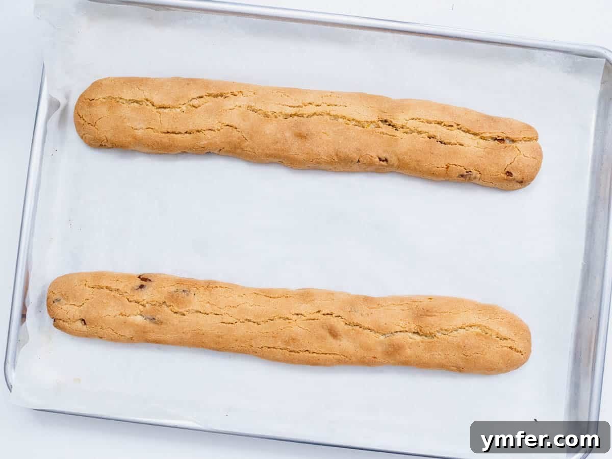Twice Baked Italian Delights 12 Two golden-brown biscotti logs on a baking sheet, fresh out of the oven after their initial bake, cooling down.