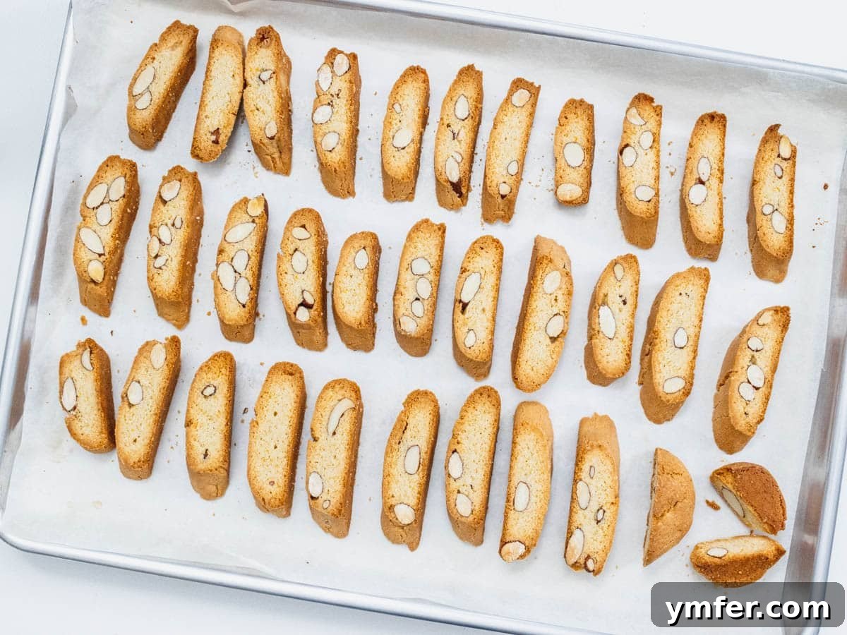 Twice Baked Italian Delights 14 Almond biscotti arranged on a baking sheet, golden and crisp after their second baking, achieving their perfect texture.
