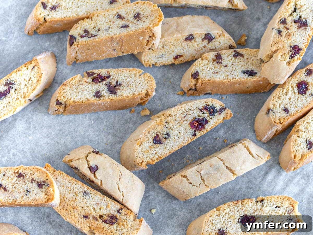 Twice Baked Italian Delights 18 A batch of biscotti studded with dark chocolate chips and dried cranberries, offering a festive and fruity twist.