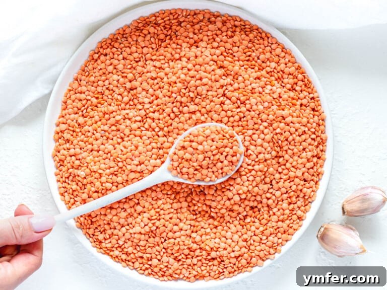 Perfect Red Lentils Every Time 11 Dried red lentils before cooking with a white spoon and a hand for inspection