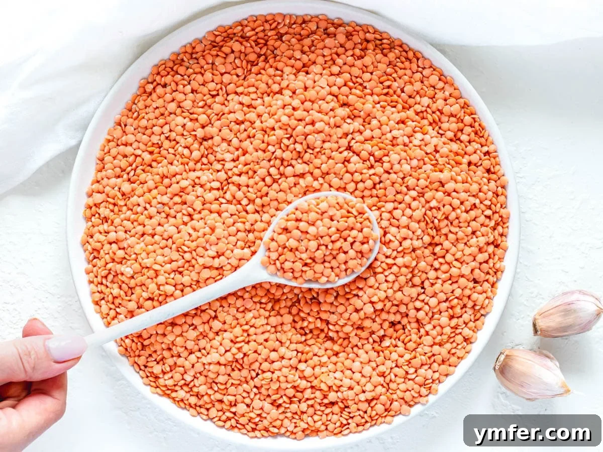 Perfect Red Lentils Every Time 4 Dried red lentils before cooking, with a white spoon and a hand for inspection