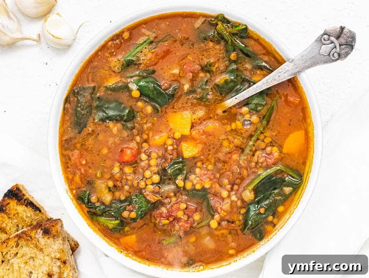 Plant-Powered Mondays 18 A hearty bowl of lentil vegetable soup with a spoon, ready to be enjoyed
