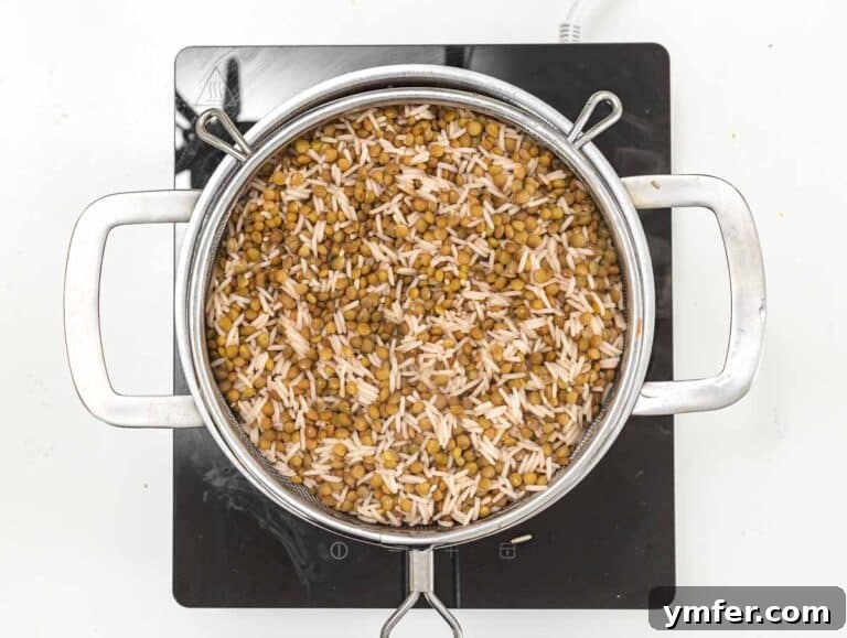 Plant-Powered Mondays 36 Cooking rice and lentils together in a pot until tender