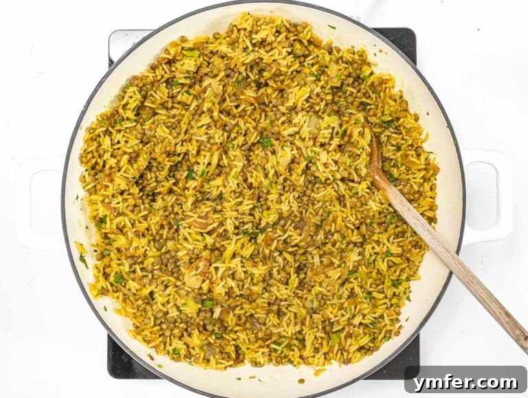 Plant-Powered Mondays 38 Lentils, rice, and onions mixed with spices in a large pot
