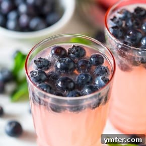 Watermelon Blueberry Mint Sparkle 6 img 9125 5