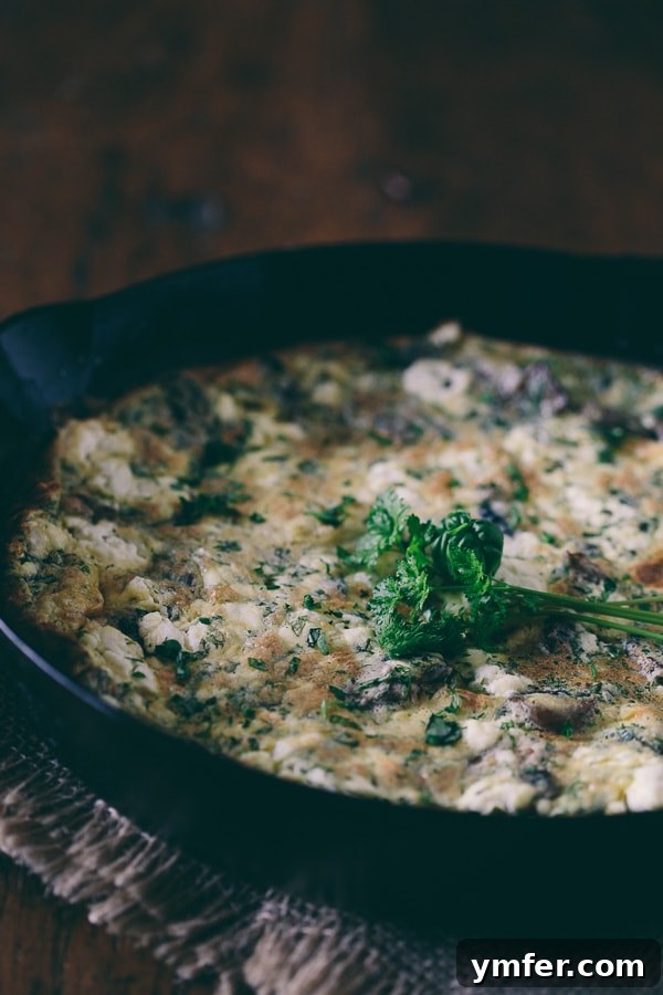 Wild Mushroom, Chèvre, and Garden Herb Frittata 4 A beautifully plated slice of Mushroom Herb Goat Cheese Frittata, garnished with fresh herbs, showcasing the creamy goat cheese and caramelized mushrooms.
