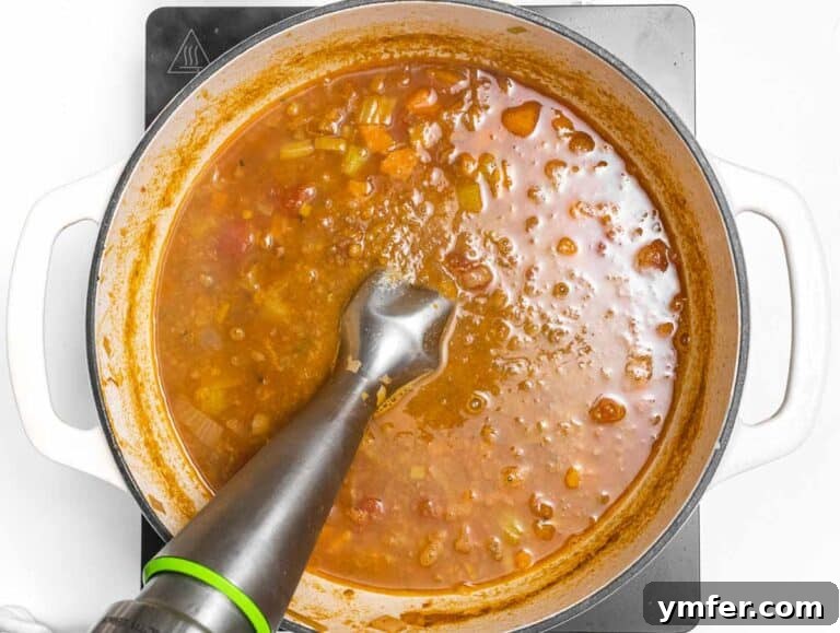 Simple Celery Recipes 31 blend some of the lentils