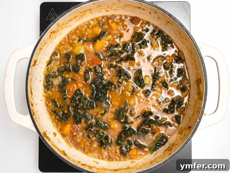 Simple Celery Recipes 32 Lentil soup in a casserole