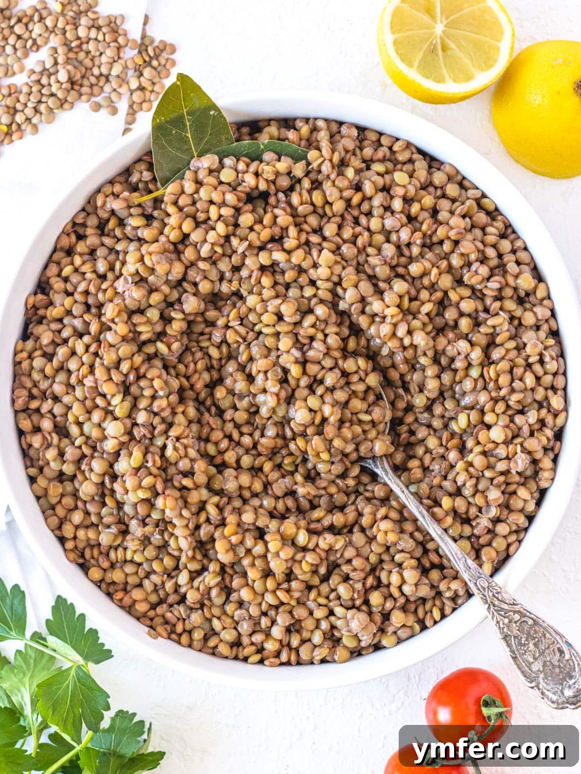 Perfect Lentils Every Time 2 Cooked brown lentils in a white bowl with bay leaves