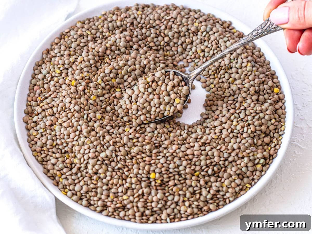 Perfect Lentils Every Time 11 dried lentils on a white plate with hand holding a spoon