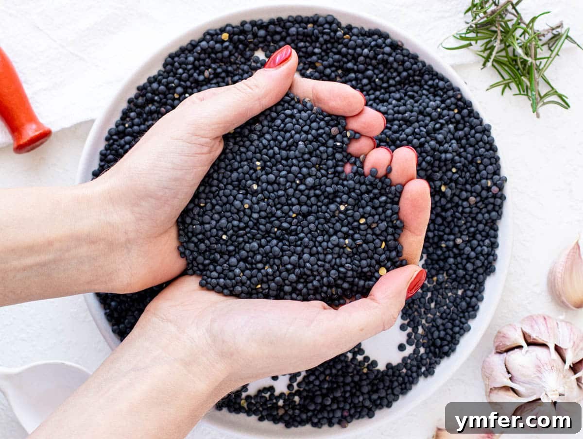 Perfect Lentils Every Time 12 dry black lentils held by Louise in her hands