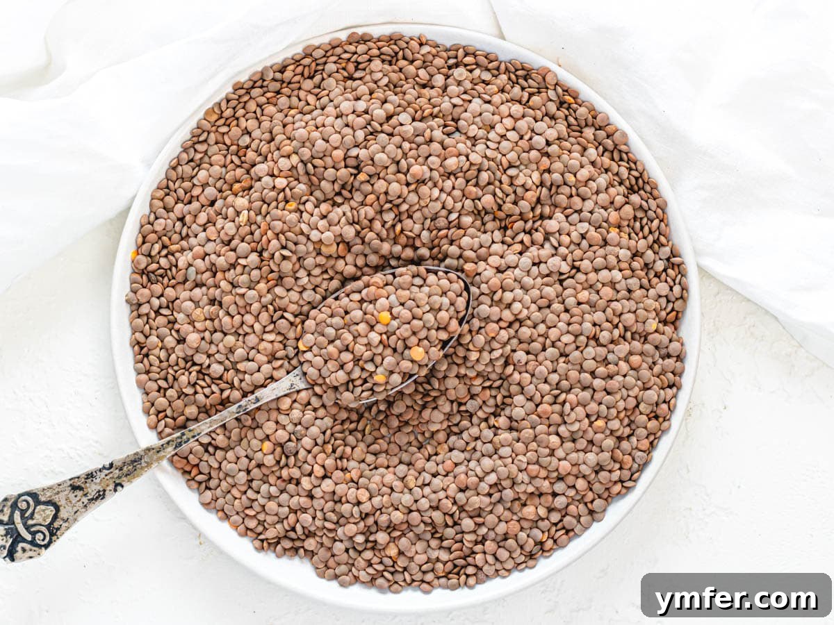 Perfect Lentils Every Time 13 whole red lentils
