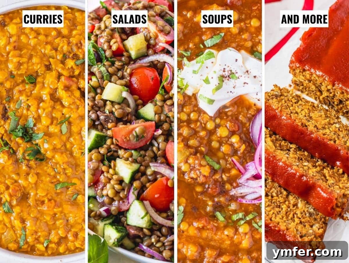 Perfect Lentils Every Time 16 recipes with lentils