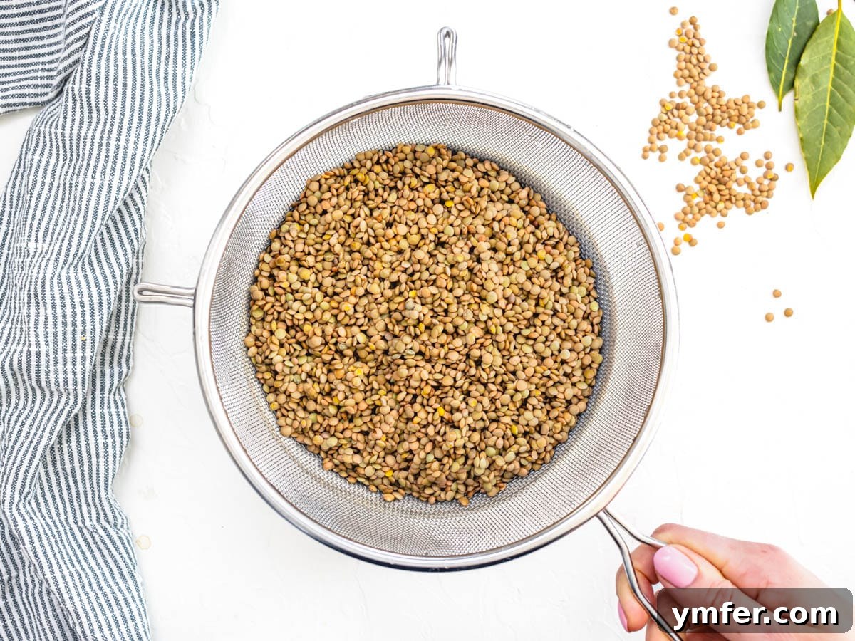 Perfect Lentils Every Time 7 dry lentils rinsed in water