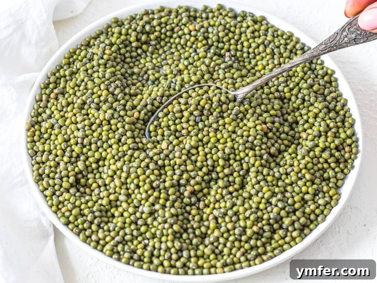Jade Bean Elixir 4 Close-up of whole dry mung beans on a plate