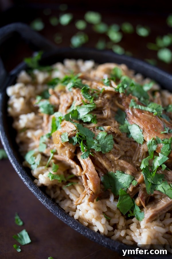 Tender Slow Cooker Honey Mustard Pulled Pork 4 Slow Cooker Honey Mustard Pulled Pork served over fluffy white rice, garnished with cilantro.