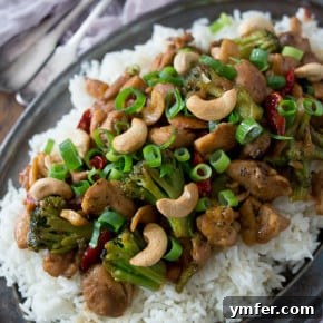 Spicy Cashew Chicken Stir-fry 5 img 9393 4