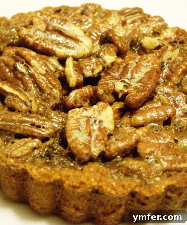 Espresso-Kissed Chocolate Pecan Bites 2 A perfectly baked Mini Chocolate Espresso Pecan Tart, rich in color and texture, resting on a white surface, ready to be enjoyed.