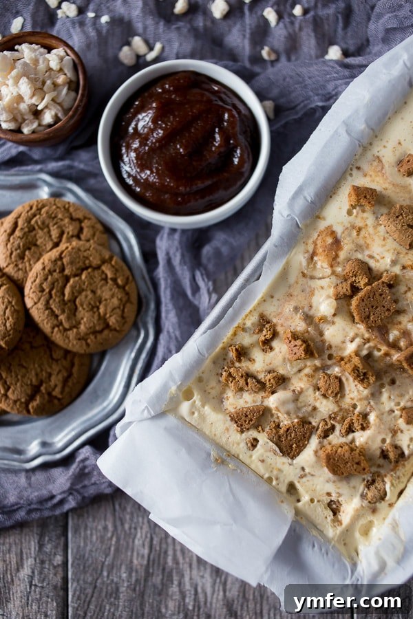 Spiced Apple Gingersnap Dream 2 Rich apple butter gingersnap ice cream, swirled with apple butter and packed with gingersnaps and candied ginger, in a serving bowl.