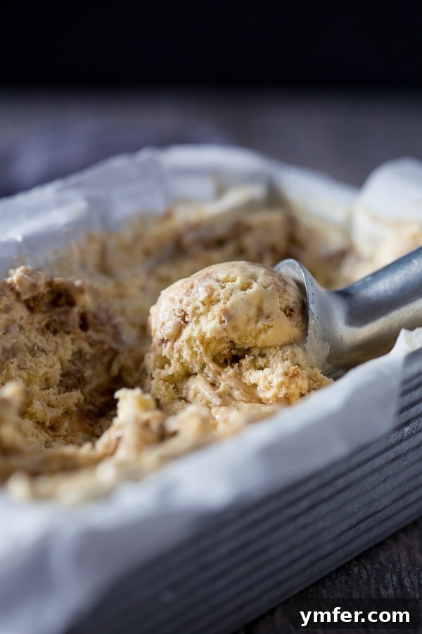 Spiced Apple Gingersnap Dream 3 A close-up of apple butter gingersnap ice cream in a clear bowl, showing the creamy texture and generous mix-ins.