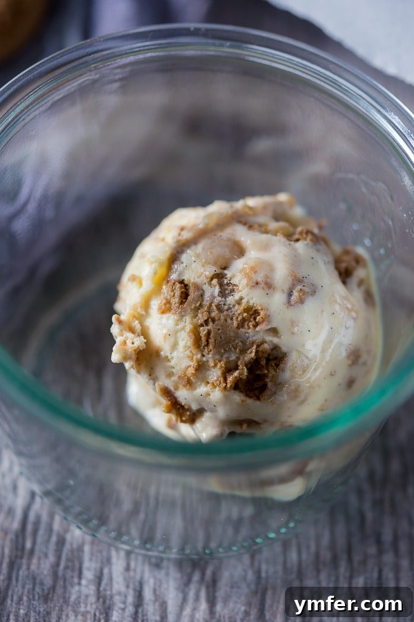 Spiced Apple Gingersnap Dream 4 A scoop of apple butter gingersnap ice cream showing the swirling apple butter and pieces of gingersnap and candied ginger.