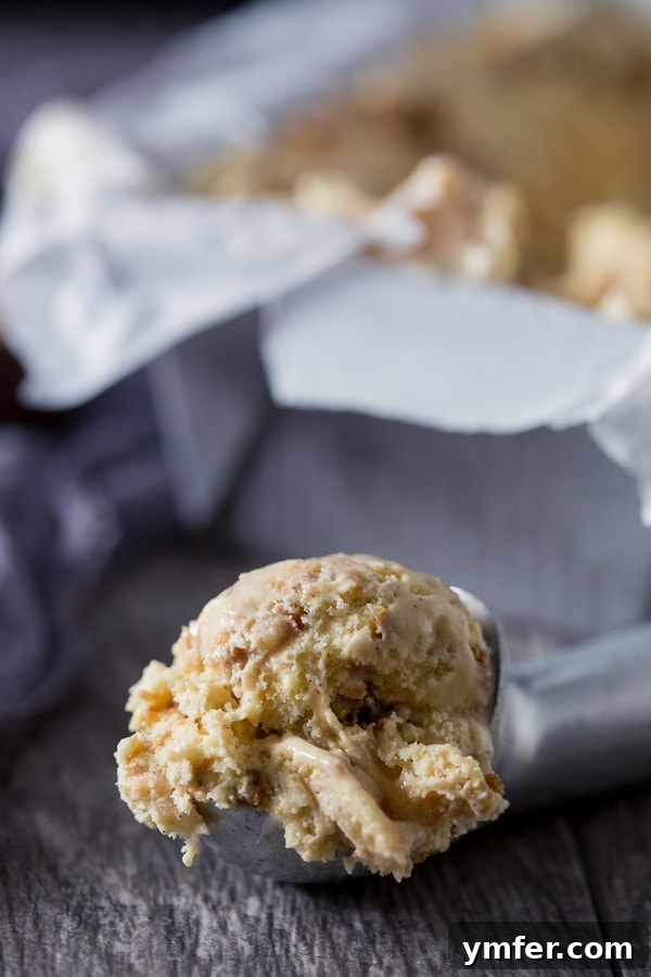 Spiced Apple Gingersnap Dream 5 Several scoops of apple butter gingersnap ice cream in a container, ready to be served.