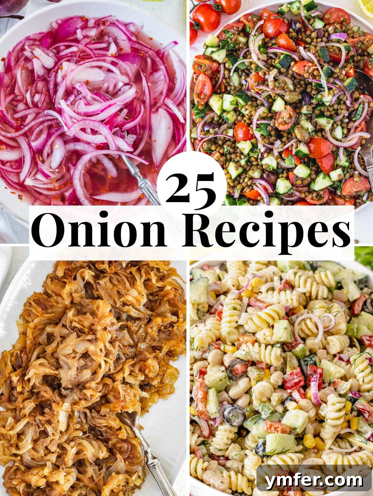 Flavorful Onion Dishes 2 Easy Onion recipes - A culinary journey with diverse onion dishes