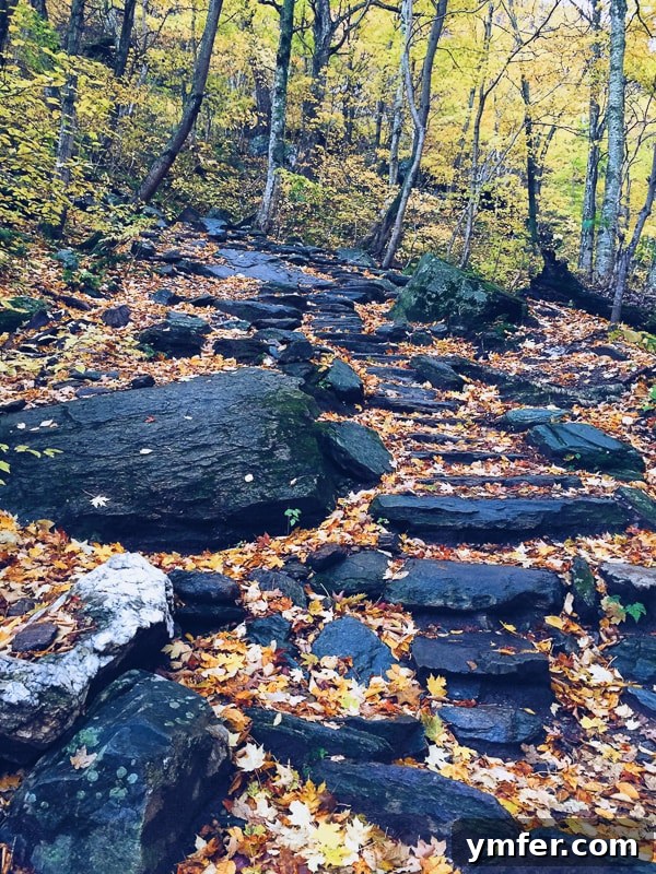 Vermont's Autumn Tapestry: A Fall Travel Guide 15 This is your perfect fall Vermont vacation guide. A no stress guide to seeing all the pretty sights without having to stick to a schedule.