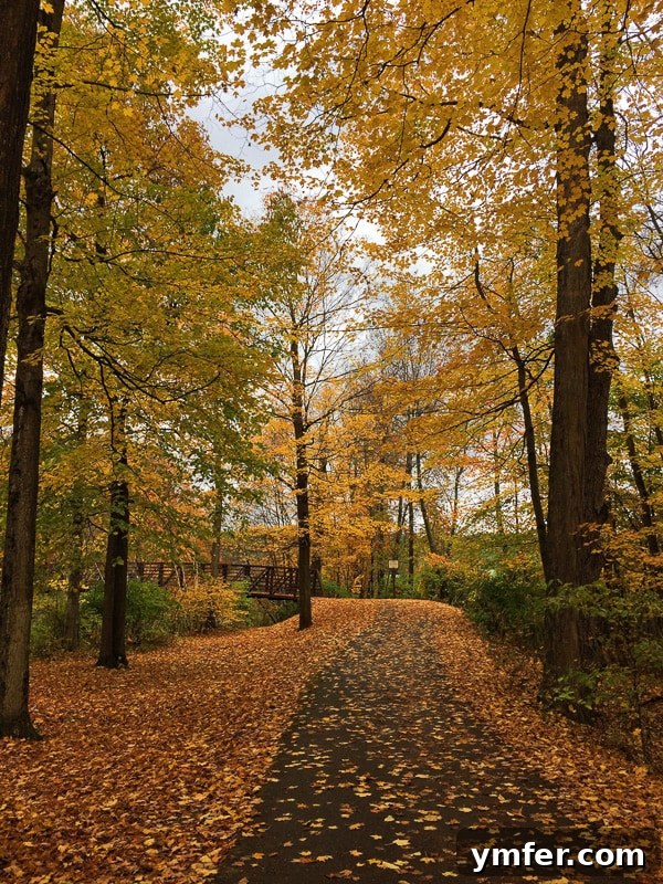 Vermont's Autumn Tapestry: A Fall Travel Guide 3 This is your perfect fall Vermont vacation guide. A no stress guide to seeing all the pretty sights without having to stick to a schedule.