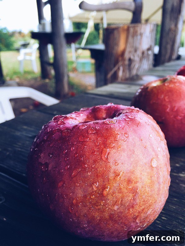 Vermont's Autumn Tapestry: A Fall Travel Guide 21 This is your perfect fall Vermont vacation guide. A no stress guide to seeing all the pretty sights without having to stick to a schedule.