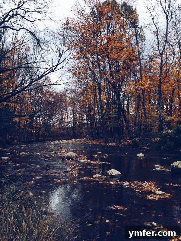 Vermont's Autumn Tapestry: A Fall Travel Guide 23 This is your perfect fall Vermont vacation guide. A no stress guide to seeing all the pretty sights without having to stick to a schedule.