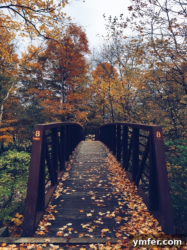 Vermont's Autumn Tapestry: A Fall Travel Guide 4 This is your perfect fall Vermont vacation guide. A no stress guide to seeing all the pretty sights without having to stick to a schedule.