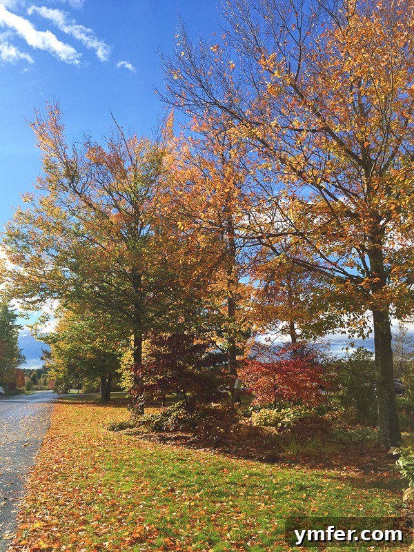 Vermont's Autumn Tapestry: A Fall Travel Guide 6 This is your perfect fall Vermont vacation guide. A no stress guide to seeing all the pretty sights without having to stick to a schedule.