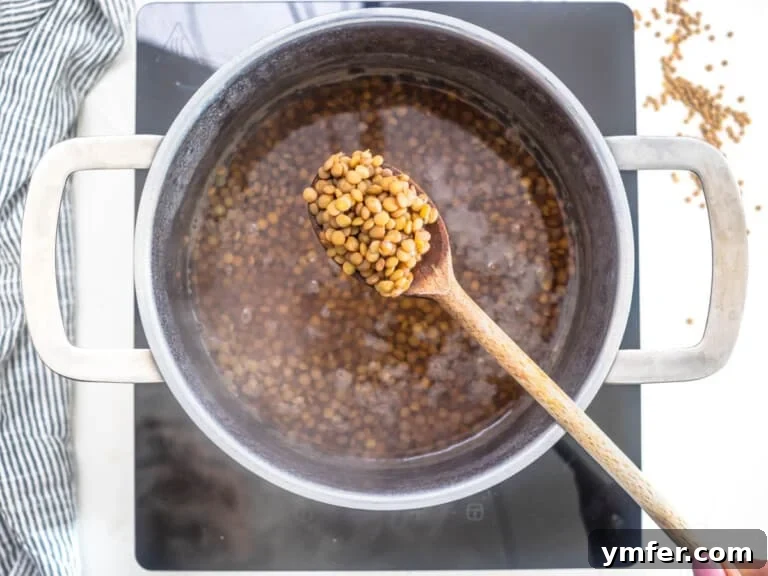 cooking the brown lentils in water