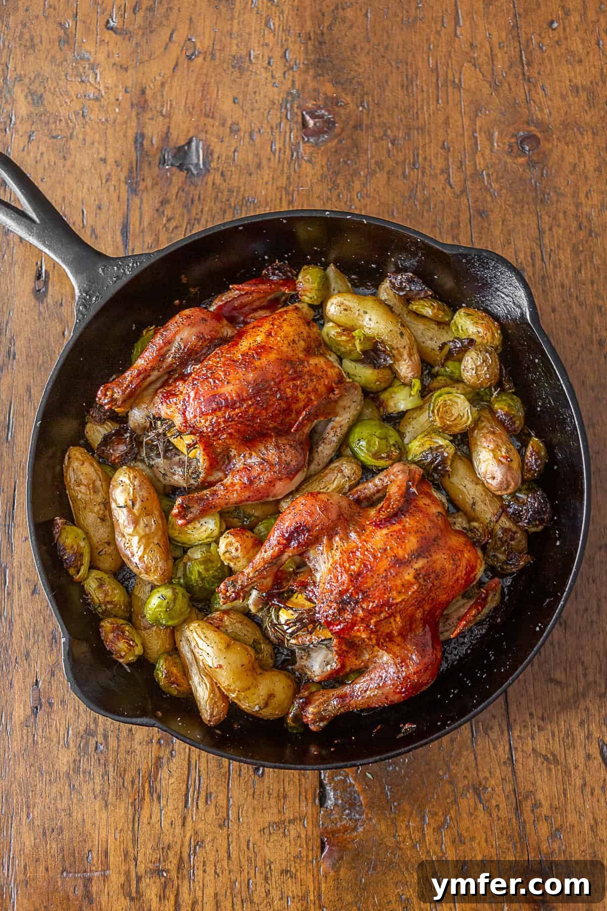 Zesty Cranberry BBQ Cornish Hens 3 Close-up of a Cranberry BBQ Sauce Cornish Hen on a serving platter, surrounded by roasted fingerling potatoes and Brussels sprouts, showcasing the rich glaze.