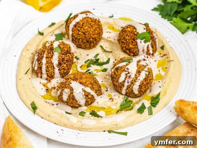 Creative Chickpea Flour Cuisine 32 Falafel and hummus