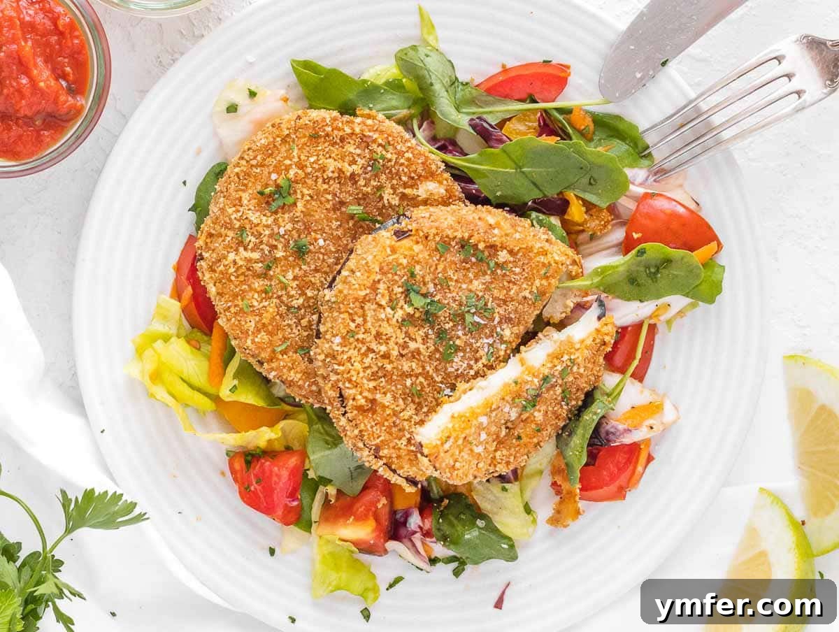 Creative Chickpea Flour Cuisine 9 fried eggplant slices on side salad