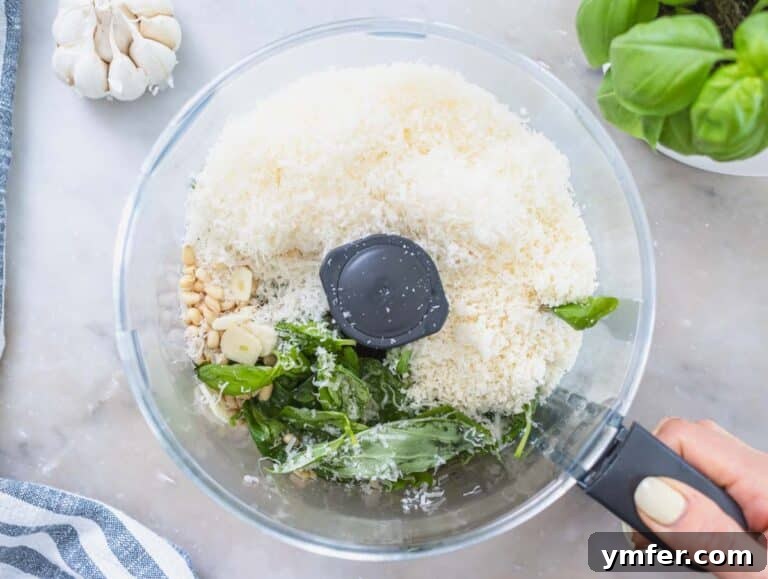 cheese and fresh basil leaves in a food processor