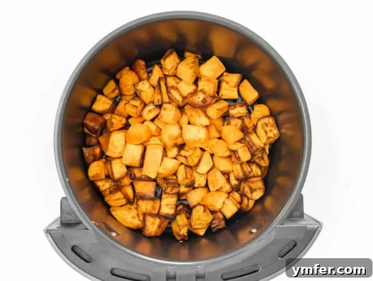 Fifteen Fantastic Black Bean Feasts 20 air fried sweet potato cubes