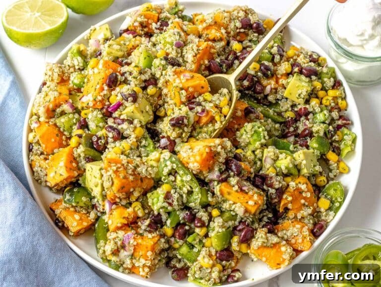 Fifteen Fantastic Black Bean Feasts 24 black bean salad with quinoa and a white plate