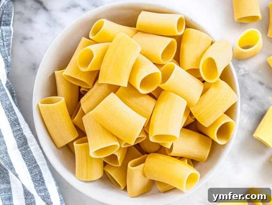 Paccheri: Italy's Grand Tubes 3 paccheri pasta in a white bowl