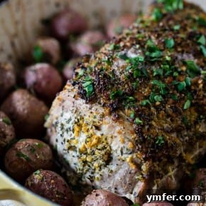 Golden Herb Citrus Pork Roast 6 img 9944 5