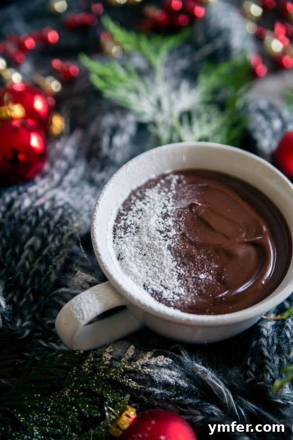 Velvet French Chocolate Dream 3 French Hot Chocolate Pudding beautifully dusted with powdered sugar, highlighting its smooth texture.