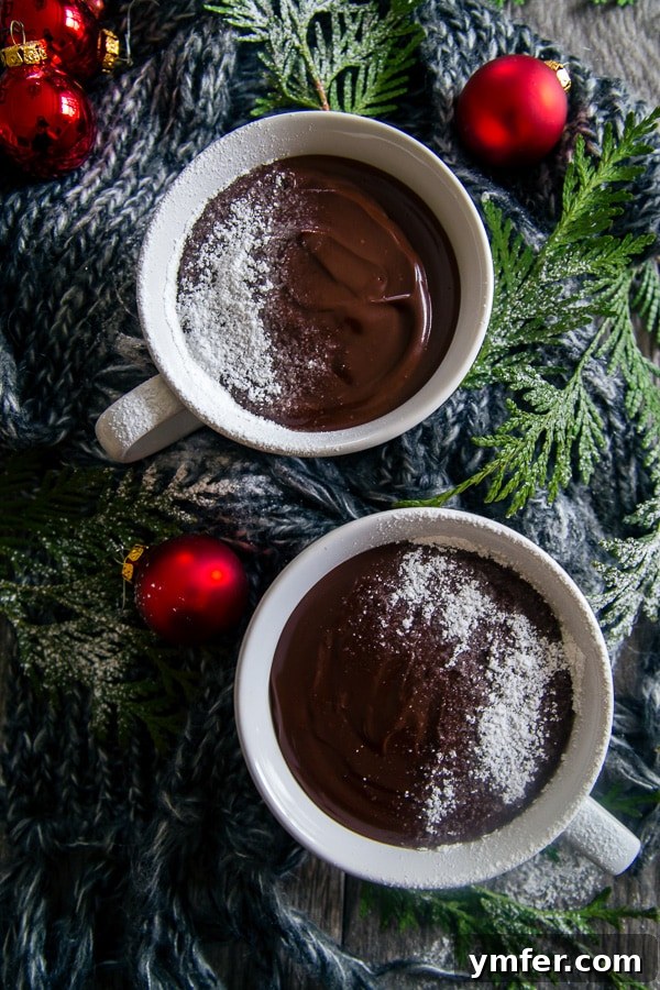 Velvet French Chocolate Dream 4 Two mugs of French Hot Chocolate Pudding, showing off its inviting texture.